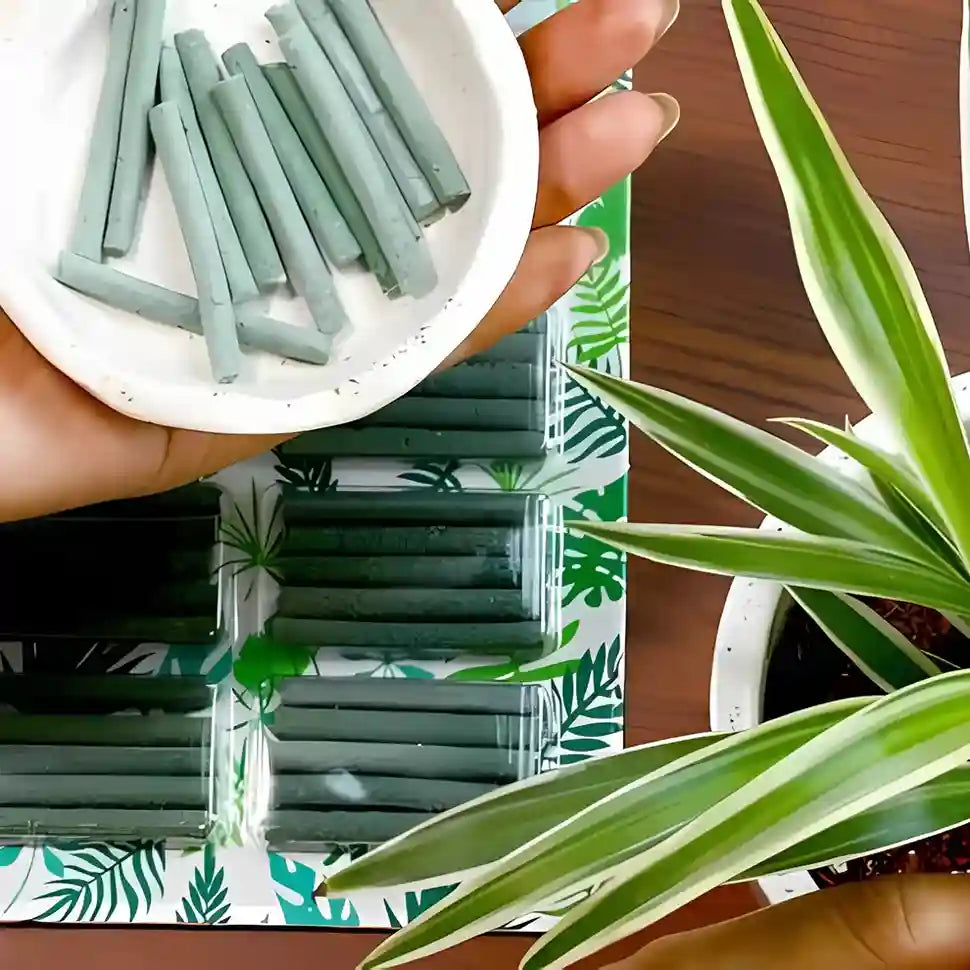 BaganVala™ All Purpose Plant Grow Fertilizer (50 Sticks)