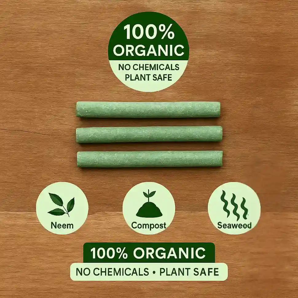 BaganVala™ All Purpose Plant Grow Fertilizer (50 Sticks)