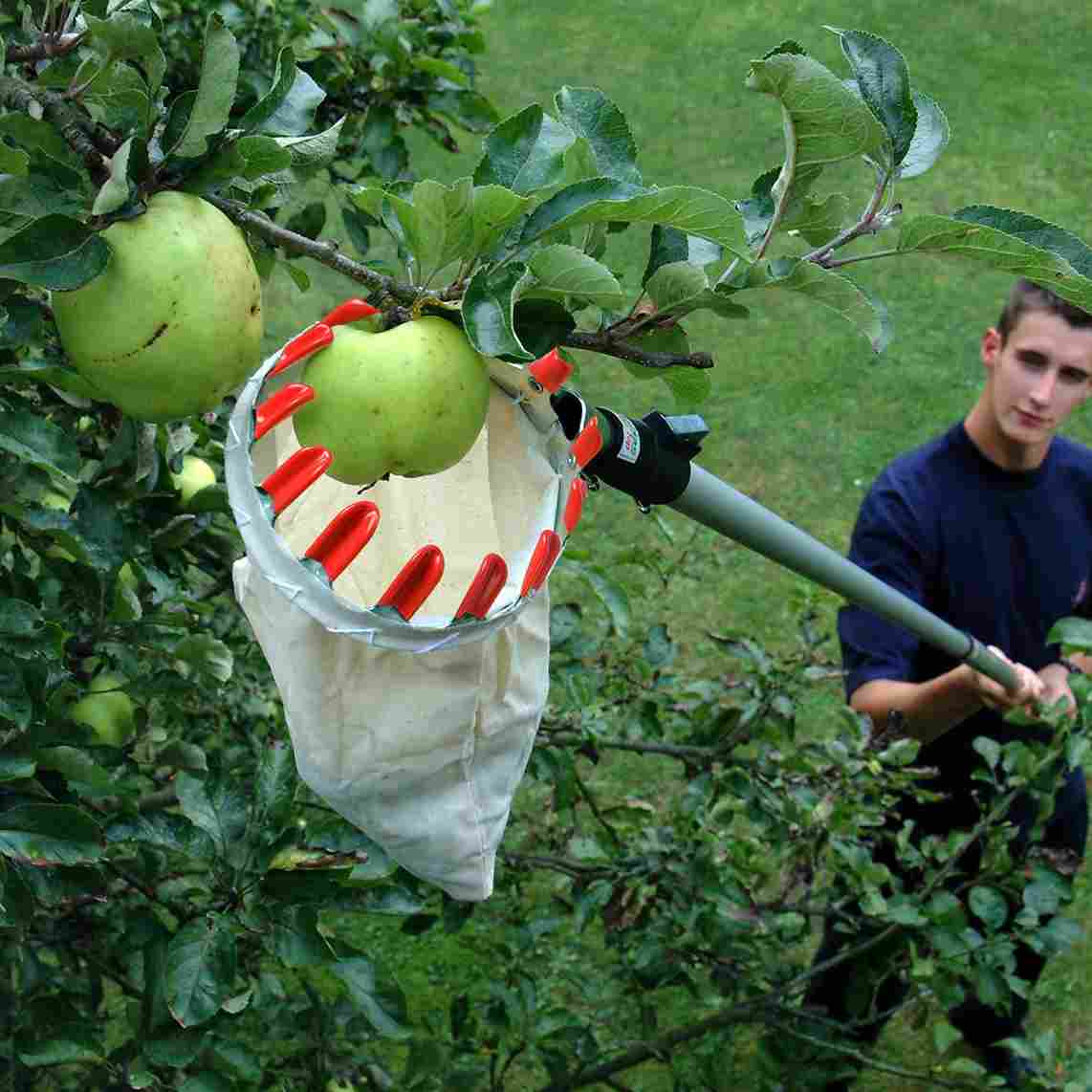 FruitPop™ 360 Fruit Picking Tool With Storage Bag